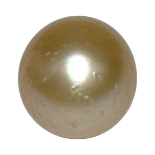 Smooth 13.9 x 16.4mm 23.6 Carats Gold South Sea Pearl Loose