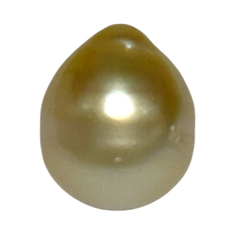 Premier Oval 12 x 14.5mm 16.5 Carats Rich Gold South Sea Loose Pearl