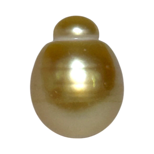 Giant Oval 13.5 x 17.5mm 21.2 Carats Deep Gold South Sea Pearl Loose