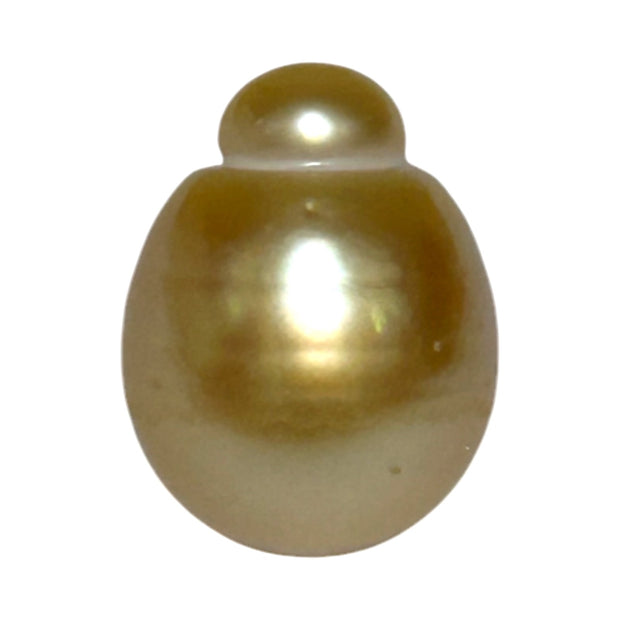 Giant Oval 13.5 x 17.5mm 21.2 Carats Deep Gold South Sea Pearl Loose