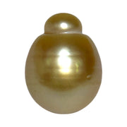 Giant Oval 13.5 x 17.5mm 21.2 Carats Deep Gold South Sea Pearl Loose