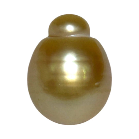 Giant Oval 13.5 x 17.5mm 21.2 Carats Deep Gold South Sea Pearl Loose