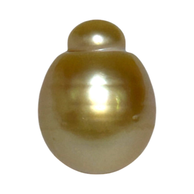 Giant Oval 13.5 x 17.5mm 21.2 Carats Deep Gold South Sea Pearl Loose