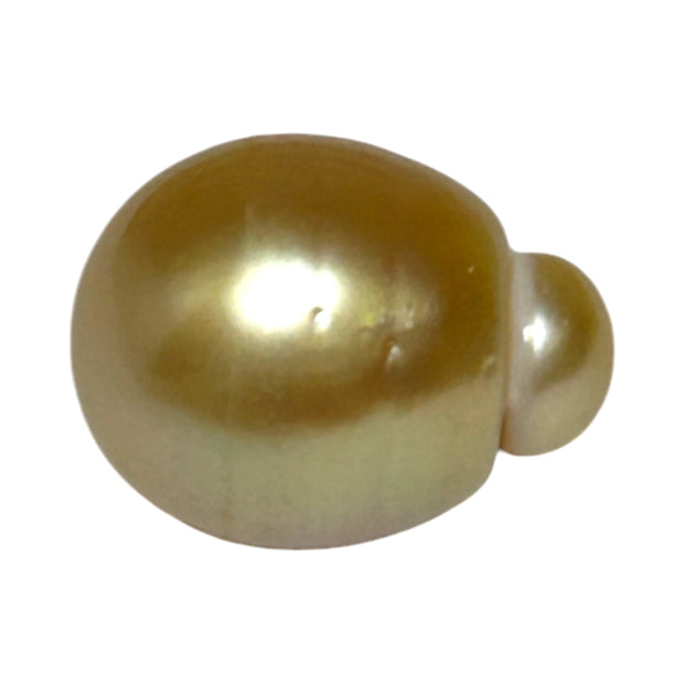 Giant Oval 13.5 x 17.5mm 21.2 Carats Deep Gold South Sea Pearl Loose