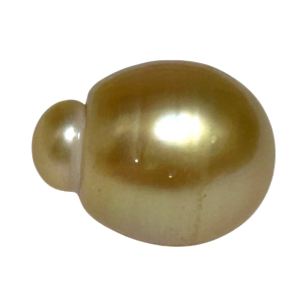 Giant Oval 13.5 x 17.5mm 21.2 Carats Deep Gold South Sea Pearl Loose