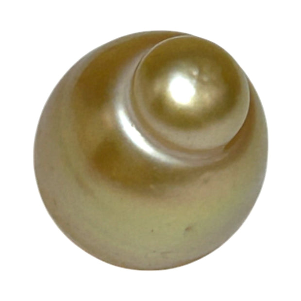 Giant Oval 13.5 x 17.5mm 21.2 Carats Deep Gold South Sea Pearl Loose