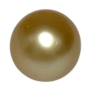 Giant Oval 13.5 x 17.5mm 21.2 Carats Deep Gold South Sea Pearl Loose