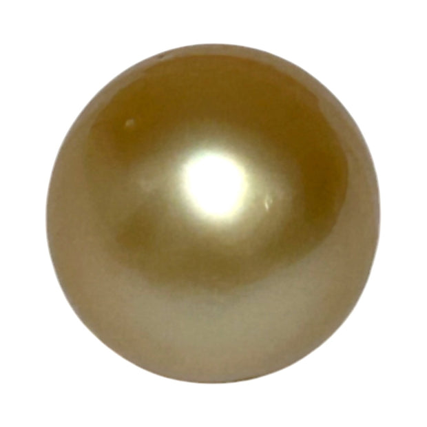 Giant Oval 13.5 x 17.5mm 21.2 Carats Deep Gold South Sea Pearl Loose