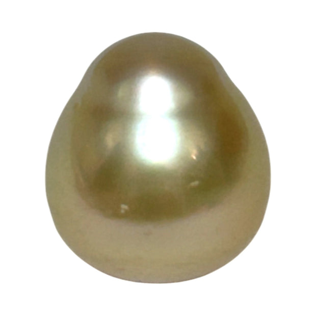 Unique Giant 14.8 x 16.4mm 25.3 Carats Gold Philippines South Sea Pearl