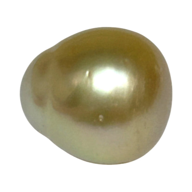 Unique Giant 14.8 x 16.4mm 25.3 Carats Gold Philippines South Sea Pearl