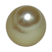 Unique Giant 14.8 x 16.4mm 25.3 Carats Gold Philippines South Sea Pearl