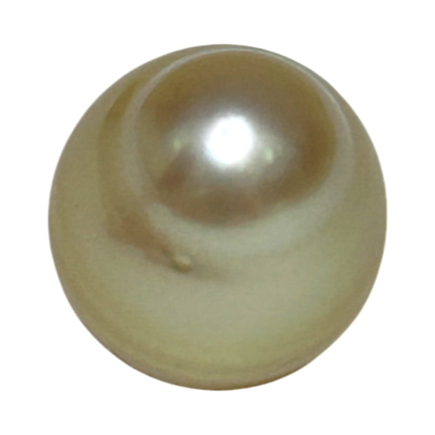 Unique Giant 14.8 x 16.4mm 25.3 Carats Gold Philippines South Sea Pearl