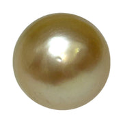 Unique Giant 14.8 x 16.4mm 25.3 Carats Gold Philippines South Sea Pearl