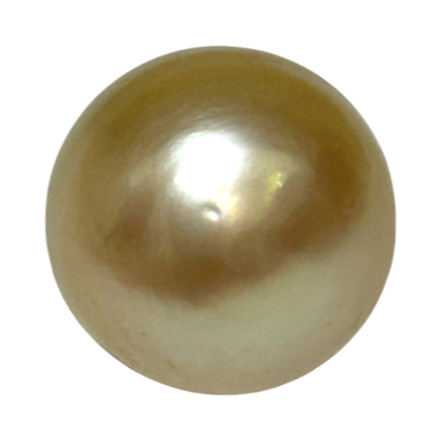 Unique Giant 14.8 x 16.4mm 25.3 Carats Gold Philippines South Sea Pearl