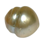 RARE Baroque 15.8 x 17.6mm 28.6 Carat Gold South Sea Pearl Loose