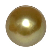 Oval Giant 13.6 x 17.2mm Deep Gold Philippines South Sea Loose Pearl