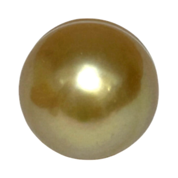 Oval Giant 13.6 x 17.2mm Deep Gold Philippines South Sea Loose Pearl