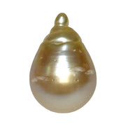 Super Giant 16.4 x 24mm Gold South Sea Teardrop Pearl Un-Drilled