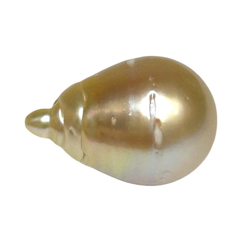 Super Giant 16.4 x 24mm Gold South Sea Teardrop Pearl Un-Drilled