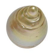 Super Giant 16.4 x 24mm Gold South Sea Teardrop Pearl Un-Drilled