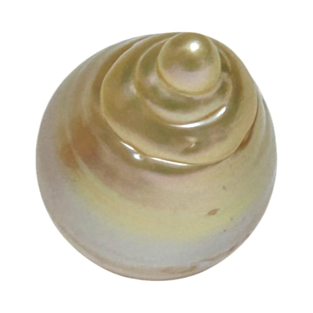 Super Giant 16.4 x 24mm Gold South Sea Teardrop Pearl Un-Drilled