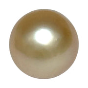 Super Giant 16.4 x 24mm Gold South Sea Teardrop Pearl Un-Drilled