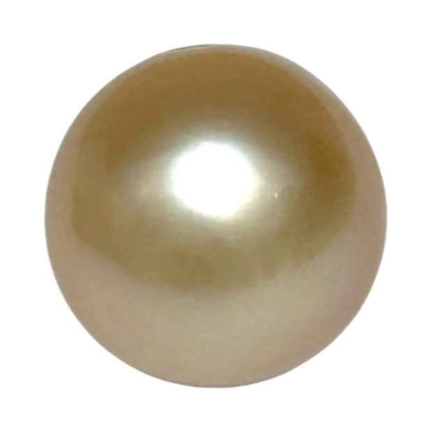 Super Giant 16.4 x 24mm Gold South Sea Teardrop Pearl Un-Drilled