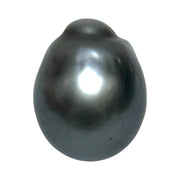Oval 16.8 Carat 12.8 x 16.1mm Peacock Gray Tahitian Sea Pearl Loose
