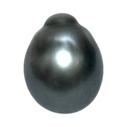 Oval 16.8 Carat 12.8 x 16.1mm Peacock Gray Tahitian Sea Pearl Loose
