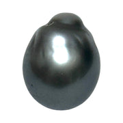 Oval 16.8 Carat 12.8 x 16.1mm Peacock Gray Tahitian Sea Pearl Loose