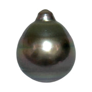 Giant 12.2 x 15mm 14.2 Carat Tahitian Peacock Black Green Rainbow Pearl