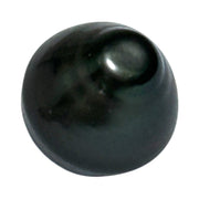 Silky Giant 13.4 x 14.2mm Peacock Black Green Tahitian Pearl Loose