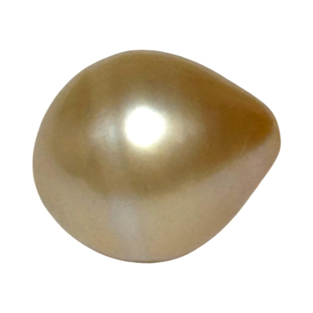Teardrop 14.1 x 16.5mm 21.6 Carat Natural Gold South Sea Pearl Loose
