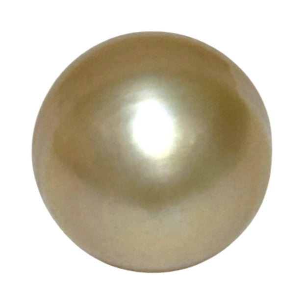 Teardrop 14.1 x 16.5mm 21.6 Carat Natural Gold South Sea Pearl Loose