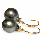 Oval 12.6 x 15mm Natural Peacock Gray Tahitian Pearl Dangle Earrings