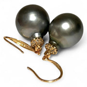 Oval 12.6 x 15mm Natural Peacock Gray Tahitian Pearl Dangle Earrings