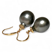 Oval 12.6 x 15mm Natural Peacock Gray Tahitian Pearl Dangle Earrings