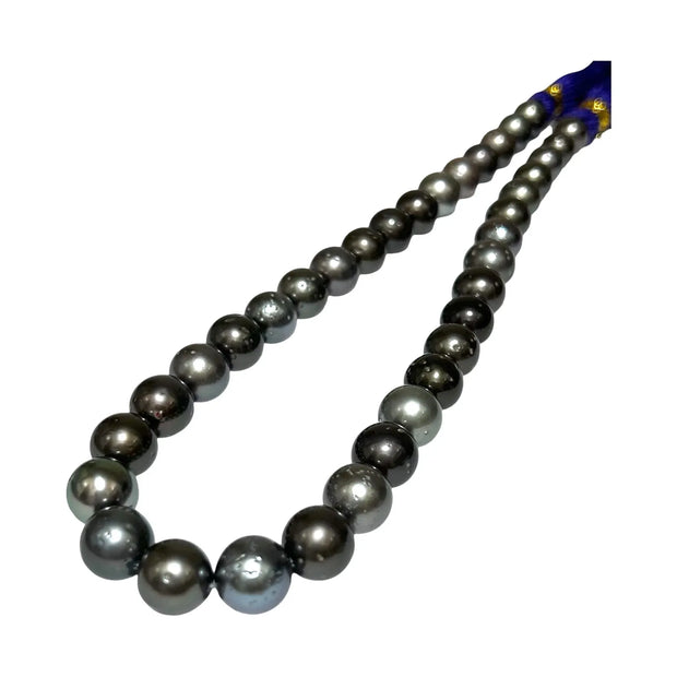 10.3 - 12mm Round Tahitian South Sea Pearl 16" Strand
