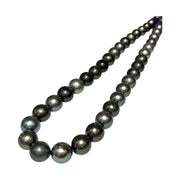 10.3 - 12mm Round Tahitian South Sea Pearl 16" Strand
