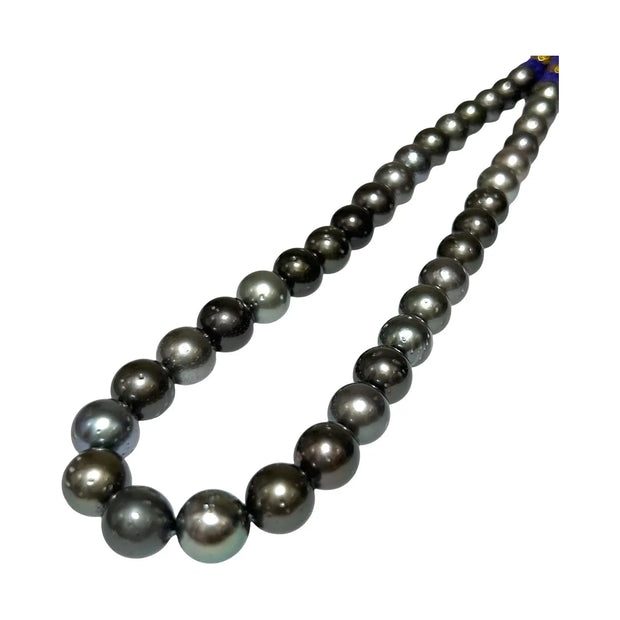 10.3 - 12mm Round Tahitian South Sea Pearl 16" Strand