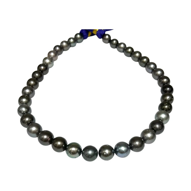 10.3 - 12mm Round Tahitian South Sea Pearl 16" Strand
