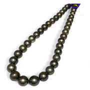 Round 11–13mm34 pcs Tahitian Peacock Gray Green Pearl 16" Strand