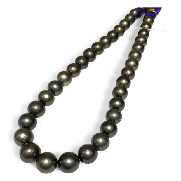 Round 11–13mm34 pcs Tahitian Peacock Gray Green Pearl 16" Strand