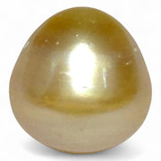 Oval Drop 16.1 x 16.4mm 29.2 Carats Rich Gold South Sea Pearl Loose