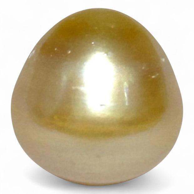 Oval Drop 16.1 x 16.4mm 29.2 Carats Rich Gold South Sea Pearl Loose
