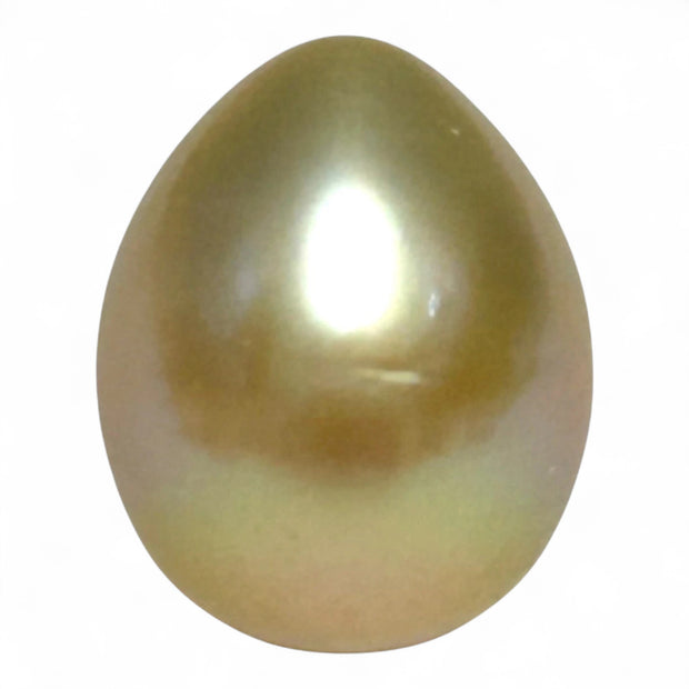 Teardrop 12,7 x 15.6mm 18.3 Carat Gold Philippines South Sea Pearl