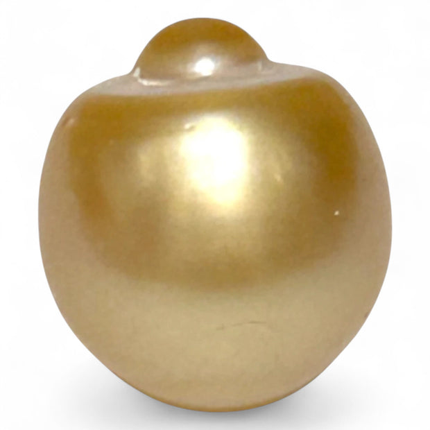 Giant 14.6 x 16mm 23.67 Carat Rich Golden Oval South Sea Loose Pearl
