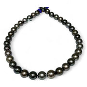 Round 11 - 12.8mm 36 pcs Tahitian Peacock Black Green Pearl 16" Strand