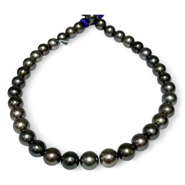 Round 11 - 12.8mm 36 pcs Tahitian Peacock Black Green Pearl 16" Strand
