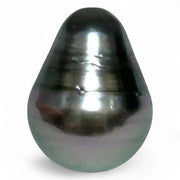 Stunning 12.1 x 15.9mm Teardrop Bottom Round Tahitian South Sea pearl